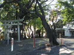 杉山神社と公民館.JPG